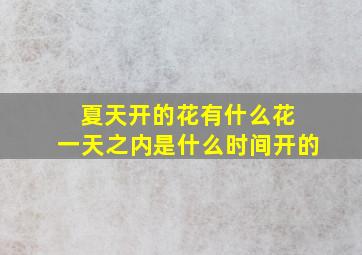 夏天开的花有什么花 一天之内是什么时间开的